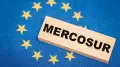 ЕС и страны Южной Америки создали одну из крупнейших торговых зон