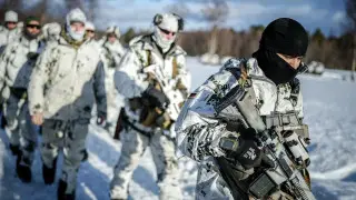 Прибывшие в Гренландию немецкие военные спешно покинули остров на фоне угроз Трампа