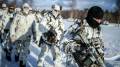 Прибывшие в Гренландию немецкие военные спешно покинули остров на фоне угроз Трампа
