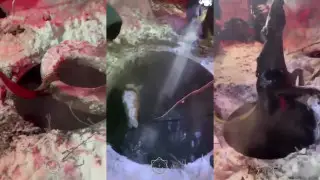 Видео спасения лошади из глубокого колодца опубликовало МЧС