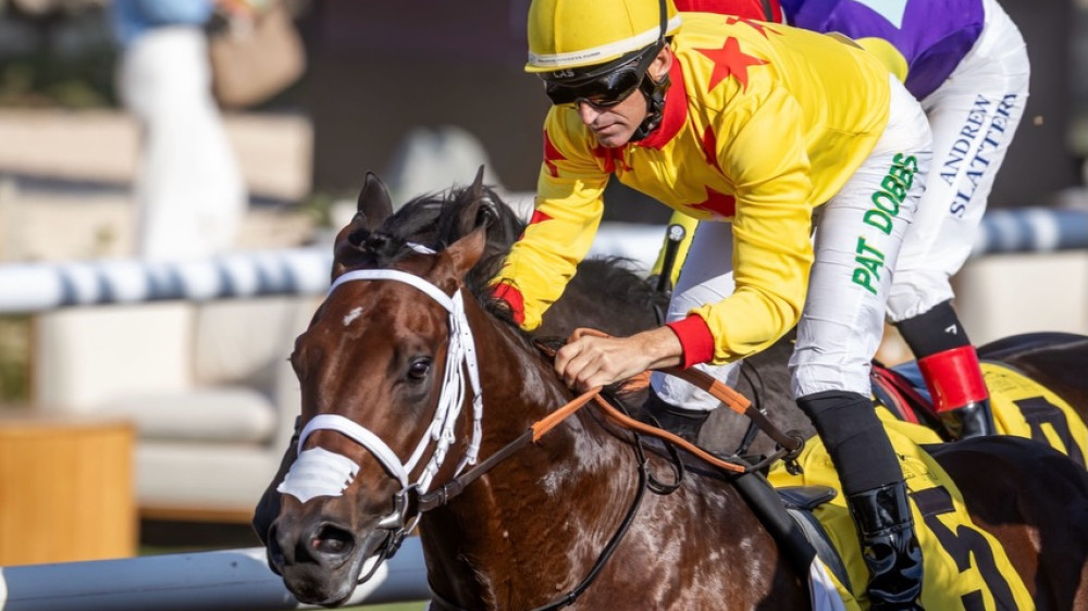 Фото: instagram.com/redstablesdxb/