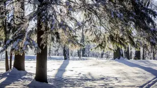 Морозы усилятся, пойдет снег. Прогноз погоды в Казахстане на вторник