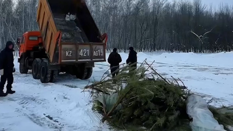 Фото: Петропавловск News
