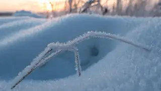 Астану заметёт, а Алматы завалит снегом: погода на 3 дня
