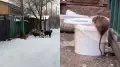 Стаи собак и крысы: Талдыкорган столкнулся с двойной проблемой