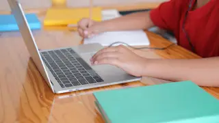 23 января часть школьников Астаны перейдёт на дистанционку