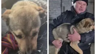 Житель Костаная стал звездой в TikTok после доброго поступка