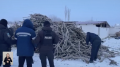 Вырубали саксаул в заповеднике: преступную группу раскрыли в Казахстане