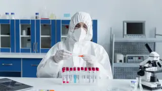 Смертельный вирус Нипах: врачи объяснили, как избежать заражения во время поездок