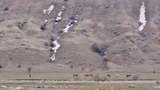 В Казахстане потеплеет до 17 градусов — прогноз погоды