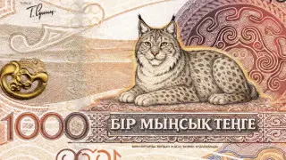 Назначения у силовиков, “новые“ 1000 тенге, дело Жанабыловых: главные новости за 5 февраля