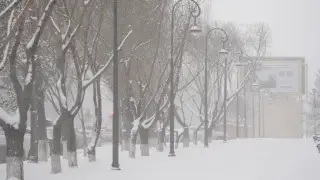 Астану снова скуют морозы, а Алматы накроет снегом