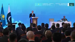 Инвестиции, цифровизация, сельское хозяйство: Токаев назвал сферы для сотрудничества с Пакистаном