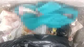 Тело новорождённого нашли в мусорном контейнере в Семее