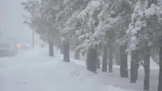 Погода 7 февраля: в Астане и регионах объявили штормовые предупреждения