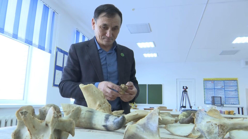 Фото © Tengrinews.kz