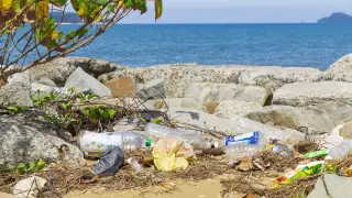 Туристы в Малайзии могут получить штраф за плохую привычку