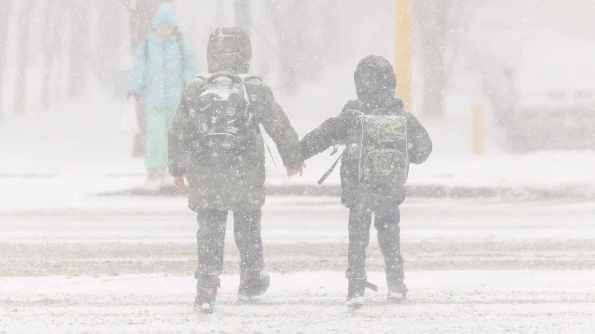 В ряде областей школьники будут учиться дистанционно 11 февраля