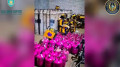 Операция “смешарик“: 2 цистерны и 1000 баллонов с газом изъяли на западе Казахстана