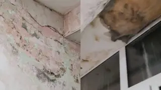 Плесень и треснувшие окна: родители пожаловались на детскую больницу в Темиртау