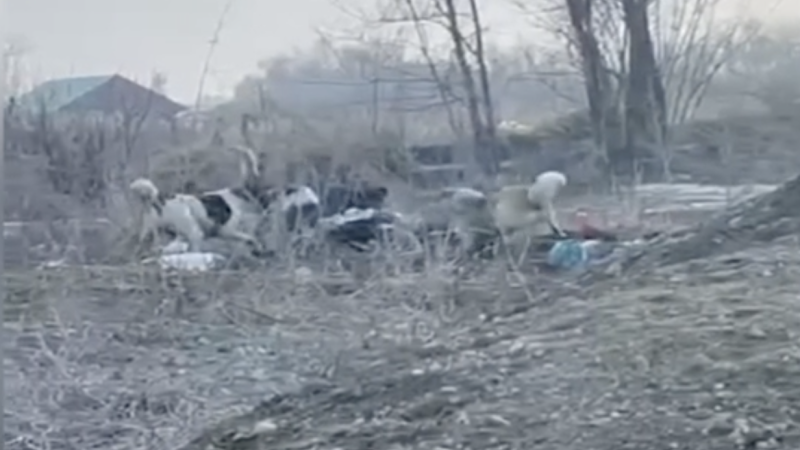 Кадр видео KTK