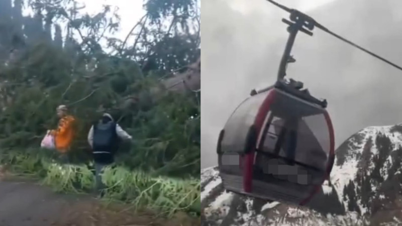 Кадры из видео instagram.com/100baksoff_almaty/