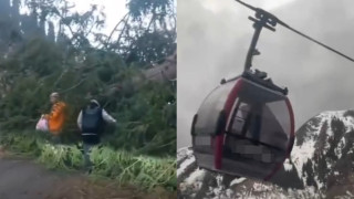 Погода на Шымбулаке: рухнувшее дерево и качающиеся кабинки