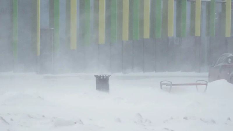 Фото © Tengrinews.kz