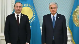 Токаев принял главу МВД Грузии