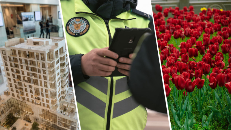 Изображение сгенерировано при помощи нейросети, фото © Tengrinews.kz / Турар Казангапов, Алихан Сариев