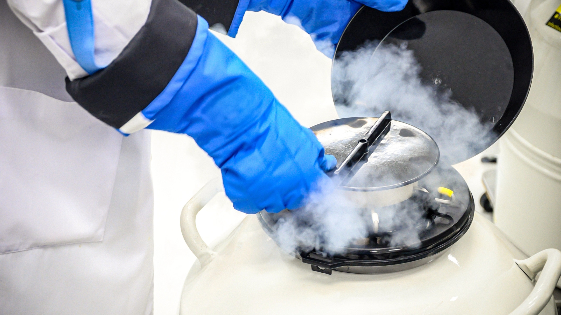 Невостребованные эмбрионы: как в Казахстане решают вопрос их хранения и утилизации