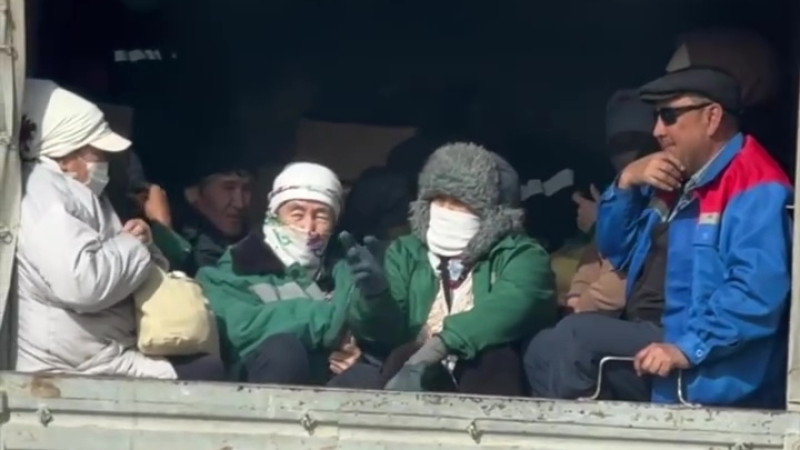 Кадр из видео