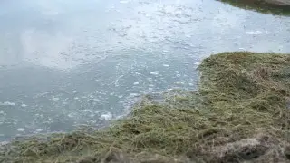 С возможными паводками в Казахстане будет бороться специальная группа МЧС