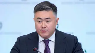 “Раз они приняли такое решение, значит, она не подлежит публикации“ — Сулейменов о своей декларации