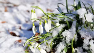 Какая погода ждёт Казахстан в субботу, 7 марта: прогноз синоптиков