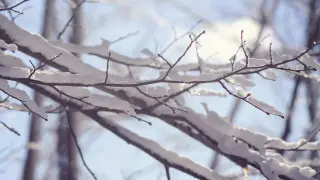 Погода 9 марта: синоптики объявили штормовые предупреждения по всему Казахстану