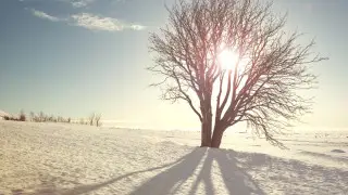 Резкое похолодание до −30 градусов: морозы вернутся в Казахстан