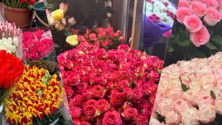 Цветочный ажиотаж: как менялись ценники на розы и тюльпаны в праздничные дни