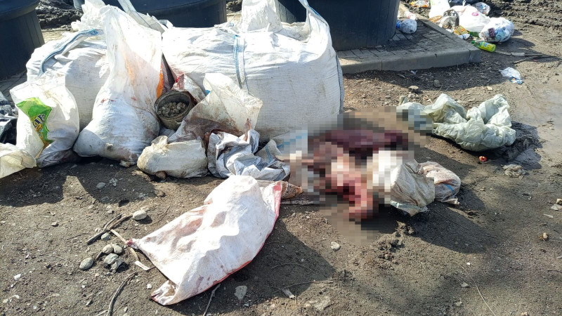 Фото предоставлено читателем