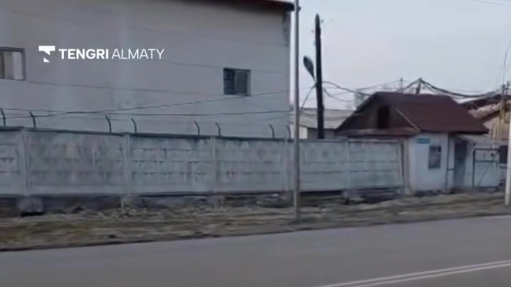 “Здесь была лесополоса“: в акимате ответили на видео с вырубкой деревьев