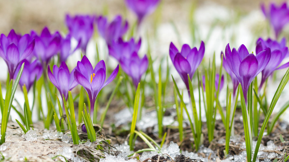 Тепло вернётся в Казахстан