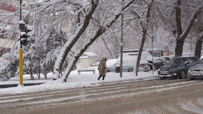 Фото © Tengrinews.kz / Болат Айтмолда