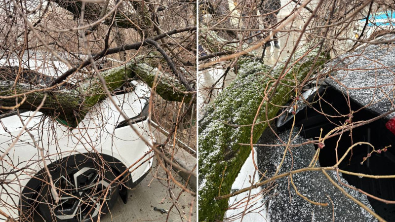 Фото читательницы Tengri Auto