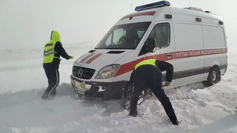 Кадр из видео / пресс-служба ДП Карагандинской области