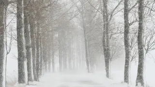 Погода 12 марта в Казахстане: синоптики объявили штормовые предупреждения
