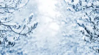 Весенняя оттепель и метели. Какая погода будет в Казахстане в четверг, 12 марта