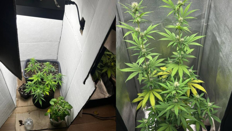 Фото: polisia.kz