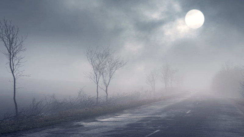 Фото:depositphotos.com