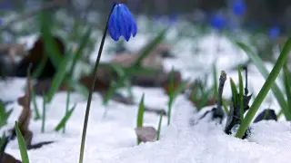 Потепление до +14: какая погода будет в Казахстане в воскресенье
