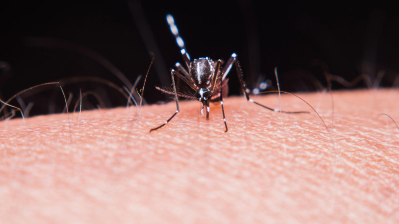 Фото:depositphotos.com